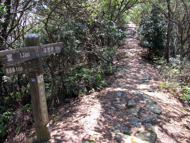 t01_131.jpg