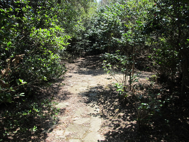 t01_132.jpg