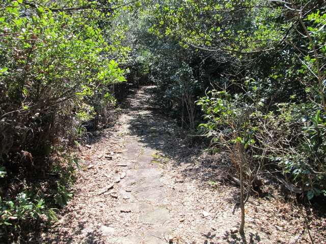 t01_133.jpg