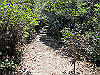 t01_133_thumb.jpg
