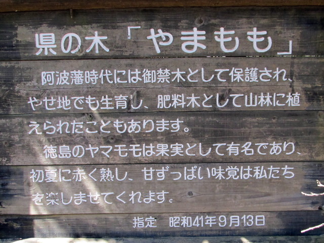 t01_134.jpg