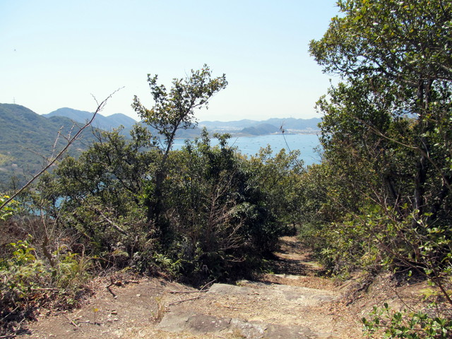 t01_137.jpg