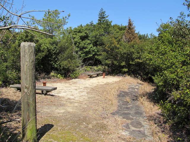 t01_138.jpg