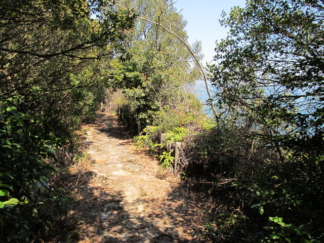 t01_139.jpg