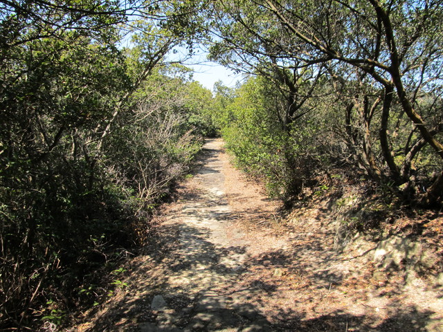 t01_141.jpg