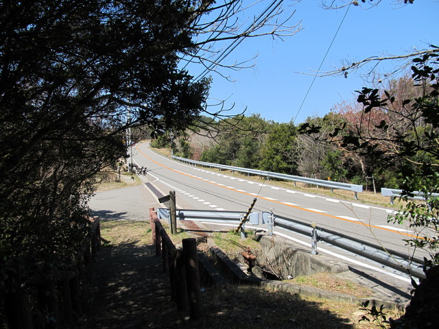 t01_142.jpg