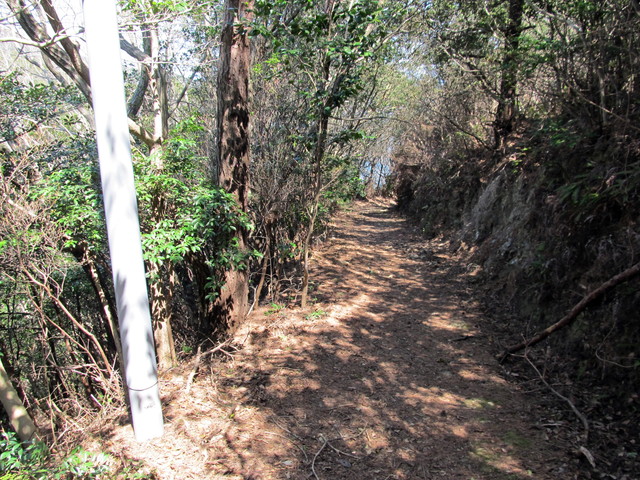 t01_145.jpg