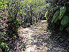 t01_146_thumb.jpg