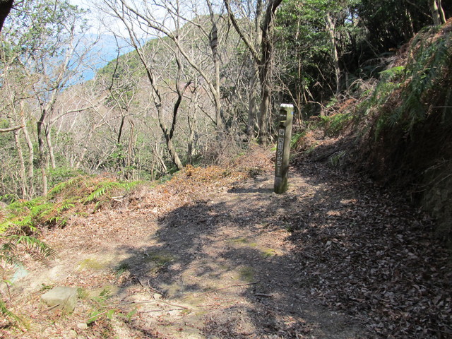 t01_147.jpg
