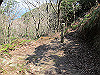 t01_147_thumb.jpg