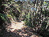 t01_148_thumb.jpg
