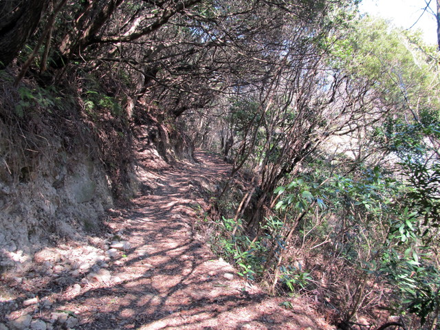 t01_149.jpg