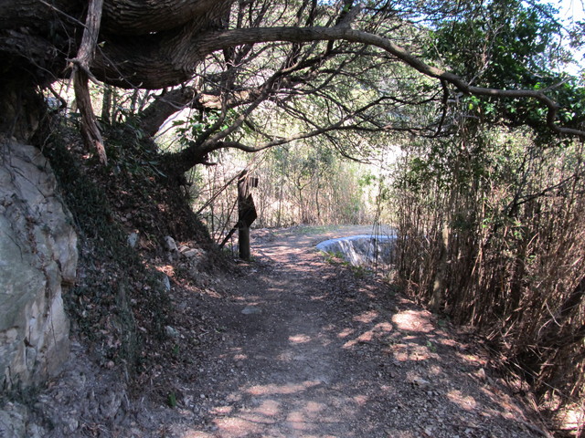 t01_150.jpg