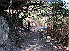 t01_150_thumb.jpg