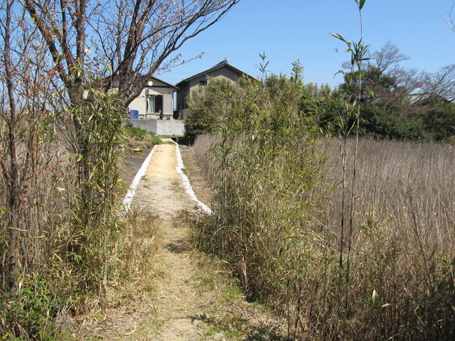 t01_151.jpg