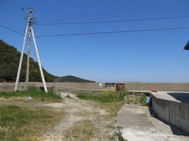 t01_154.jpg