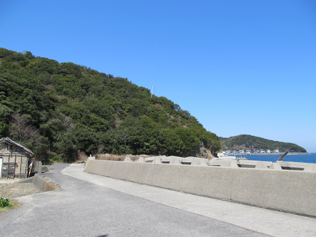 t01_156.jpg