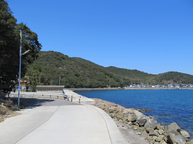 t01_159.jpg