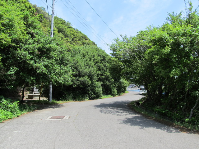t01_162.jpg