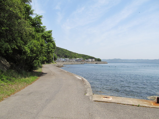 t01_163.jpg