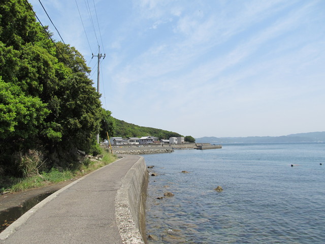 t01_164.jpg
