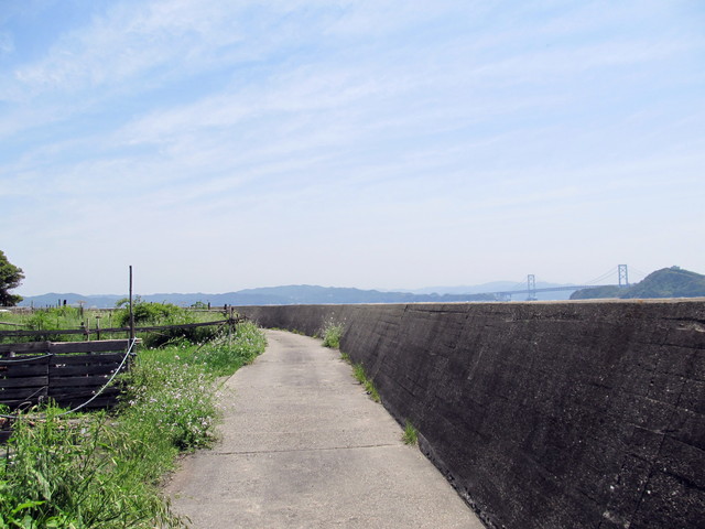 t01_169.jpg