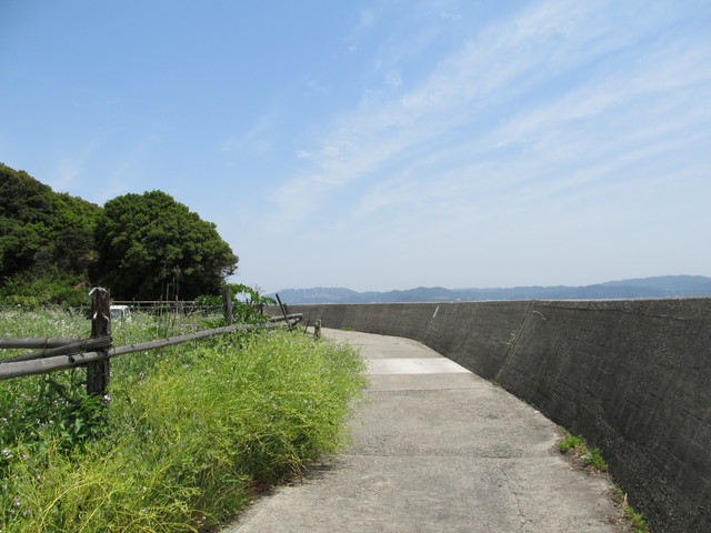 t01_170.jpg