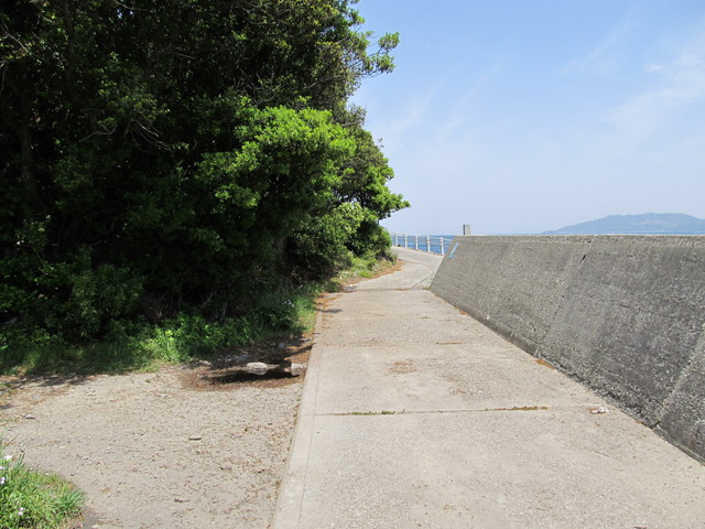 t01_171.jpg