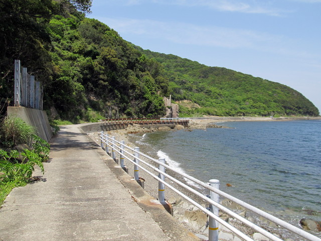 t01_174.jpg
