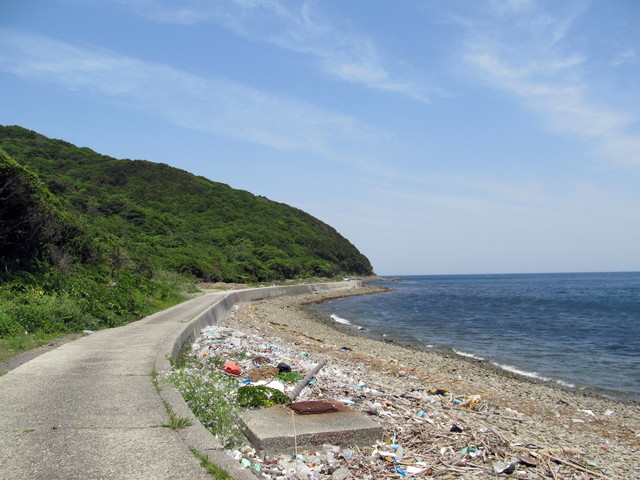 t01_176.jpg