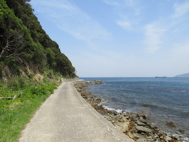 t01_179.jpg