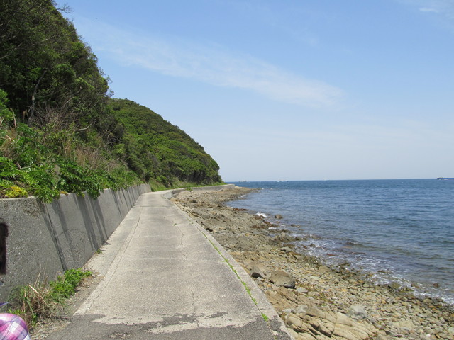 t01_181.jpg