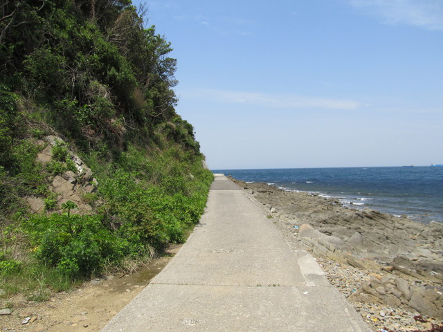 t01_182.jpg