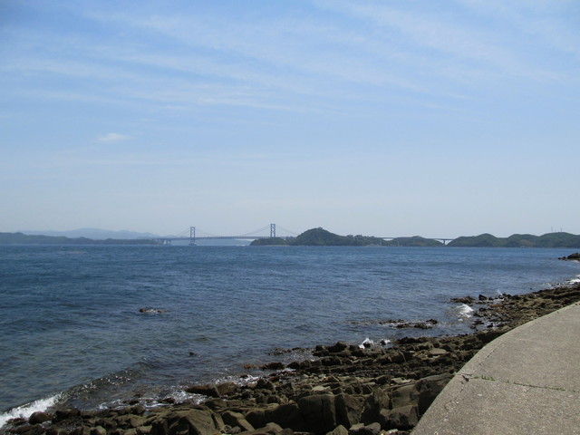 t01_183.jpg