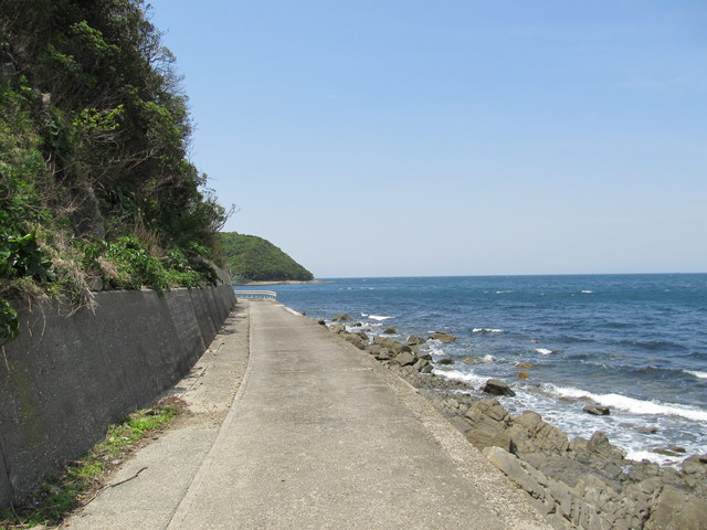 t01_184.jpg
