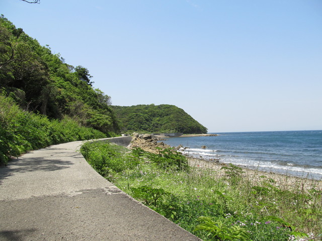 t01_186.jpg