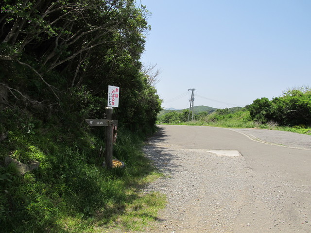t01_189.jpg