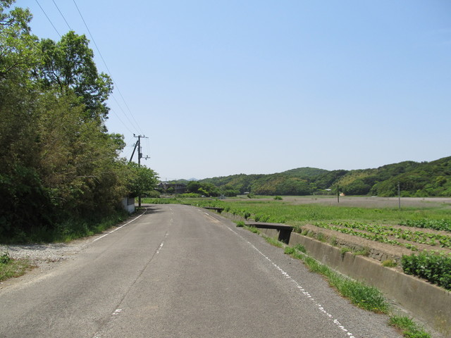 t01_191.jpg