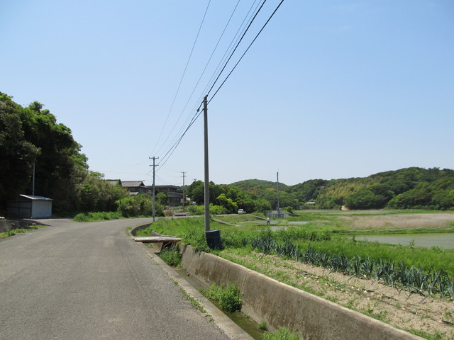 t01_195.jpg