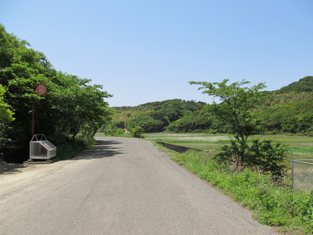 t01_197.jpg