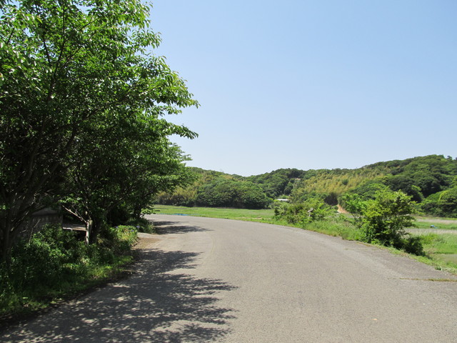 t01_198.jpg