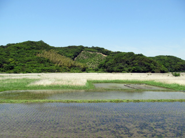 t01_200.jpg