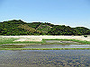 t01_200_thumb.jpg