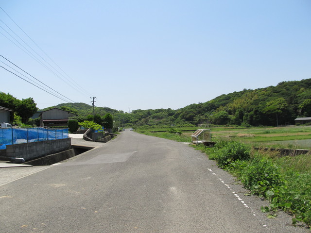 t01_201.jpg