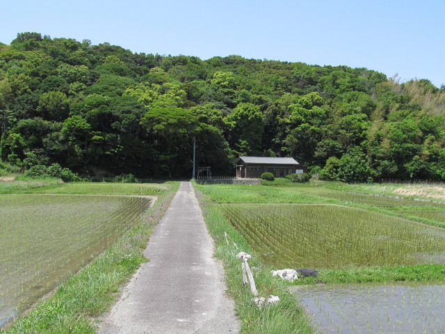 t01_203.jpg