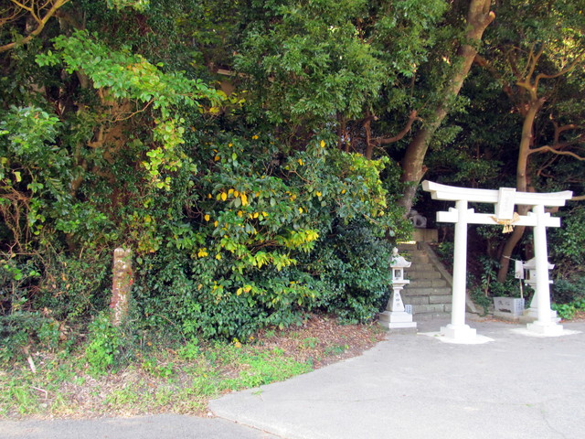 t01_204.jpg