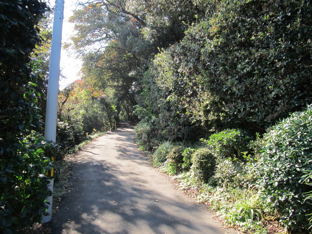 t01_207.jpg