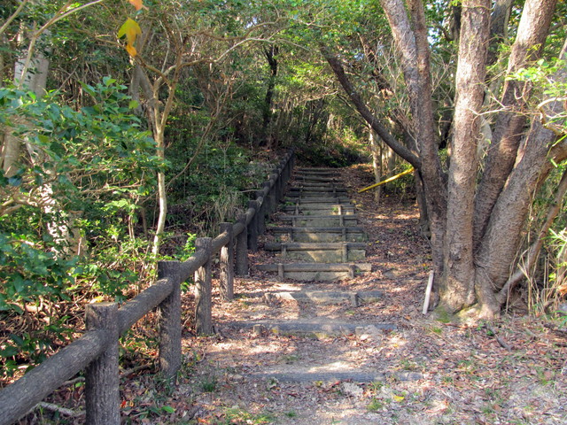 t01_212.jpg