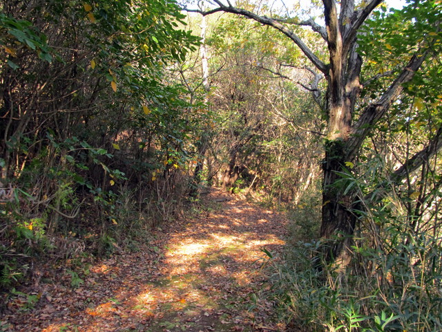 t01_213.jpg