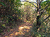 t01_213_thumb.jpg